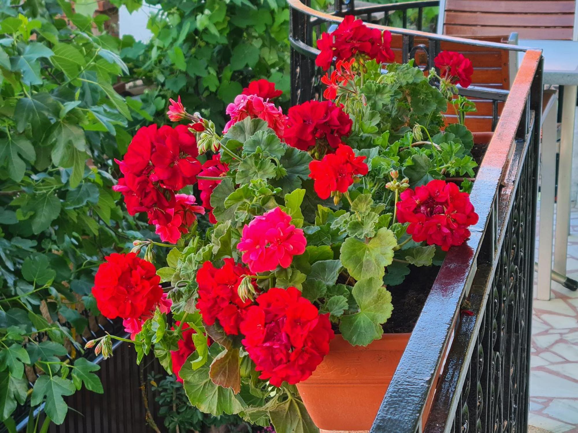 Casa Bianca Hotel Două Mai Eksteriør billede